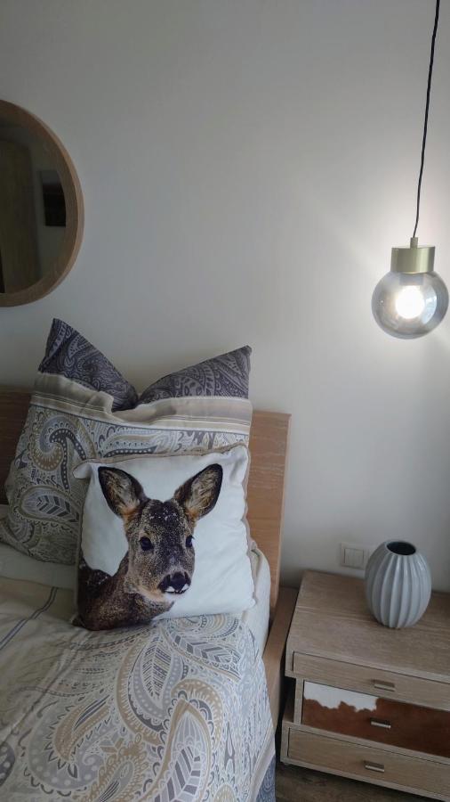 Maurers Schlierseetraum 6, Studio 455 Mit 42 Qm Neu Renoviert, Erdgeschoss Mit Eingezaeunter Terrasse In Ruhiger Lage Am Kirchbichlweg 8 Extérieur photo